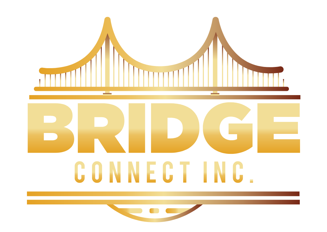 Bridge Connect